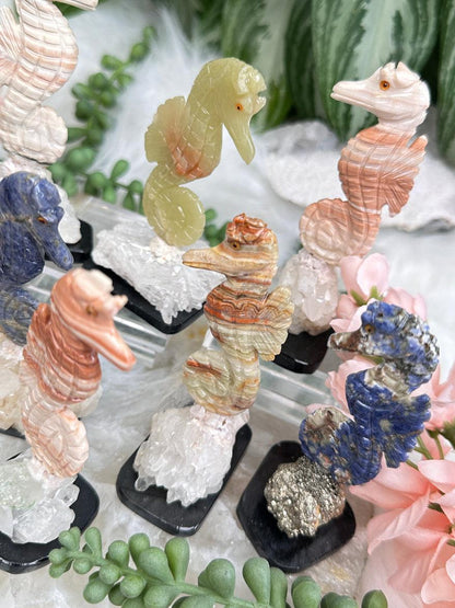 carved-seahorse-crystals