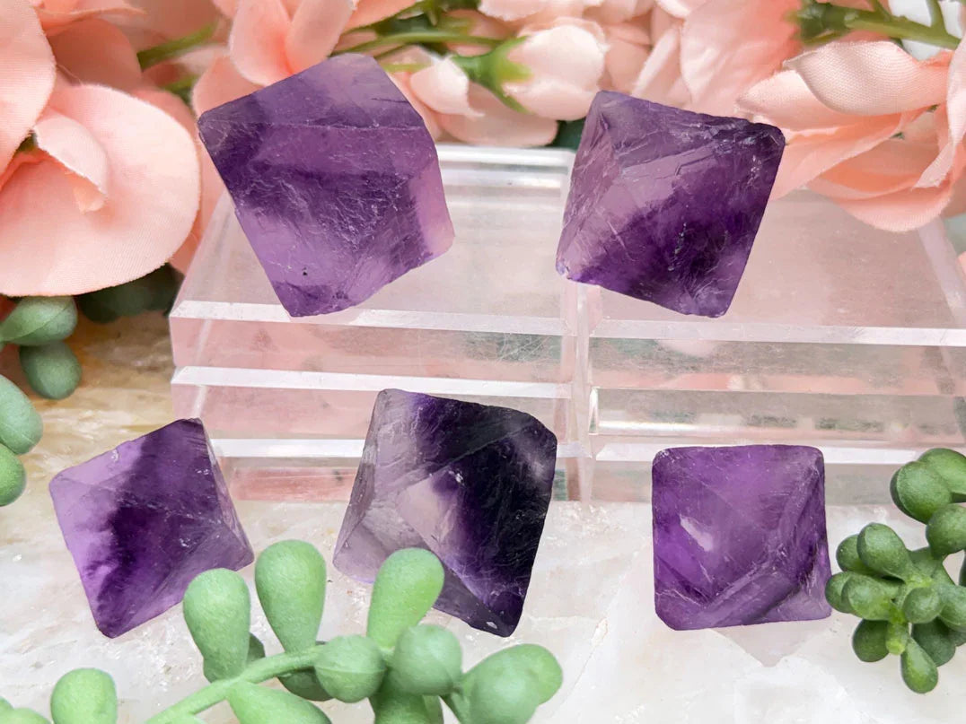 chinese-purple-fluorite-octahedrons