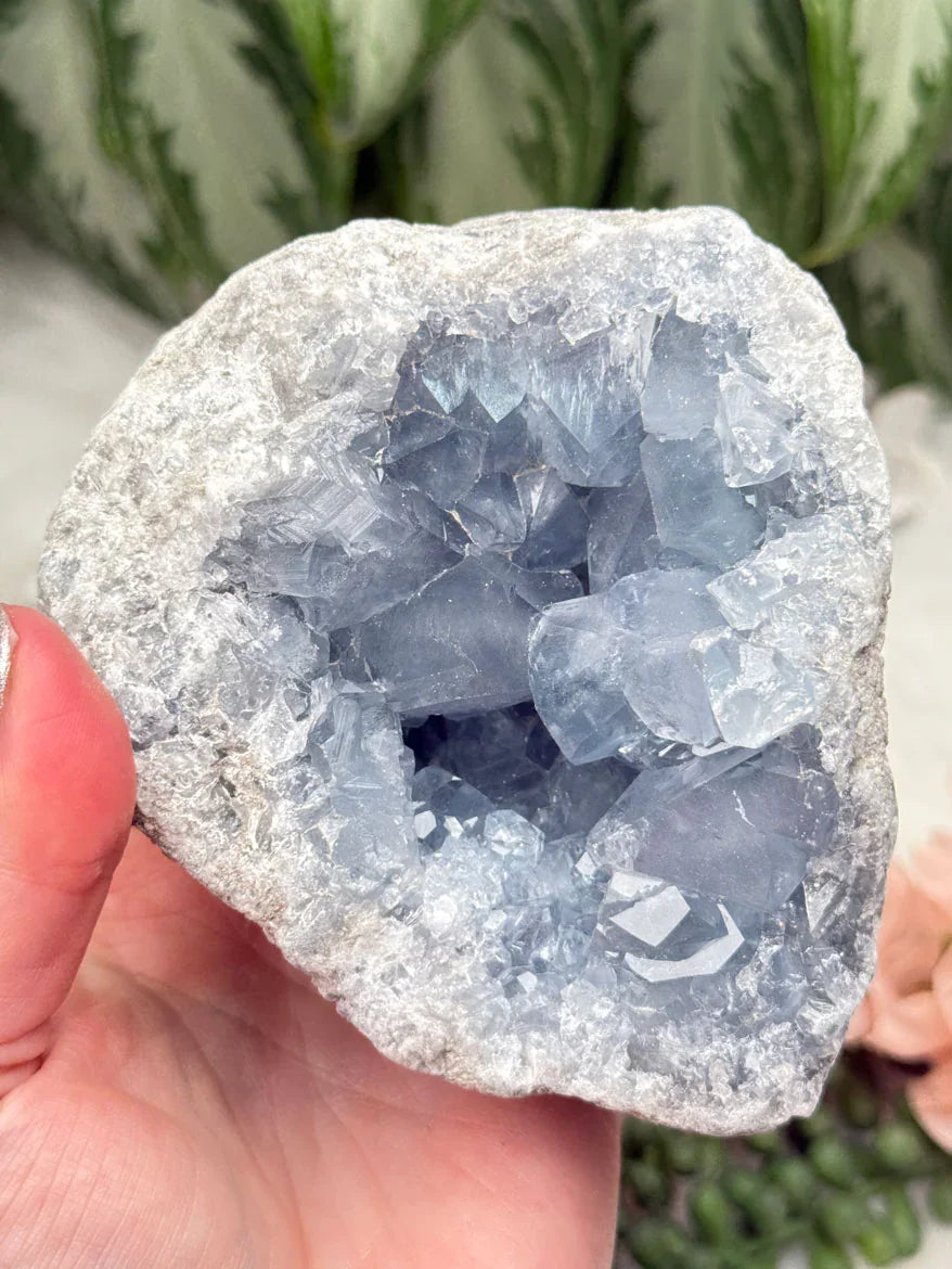 chunky-blue-celestite-geode_88d693fe-2b14-4dd9-87e4-06dd86396ab8