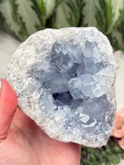 chunky-blue-celestite-geode_88d693fe-2b14-4dd9-87e4-06dd86396ab8