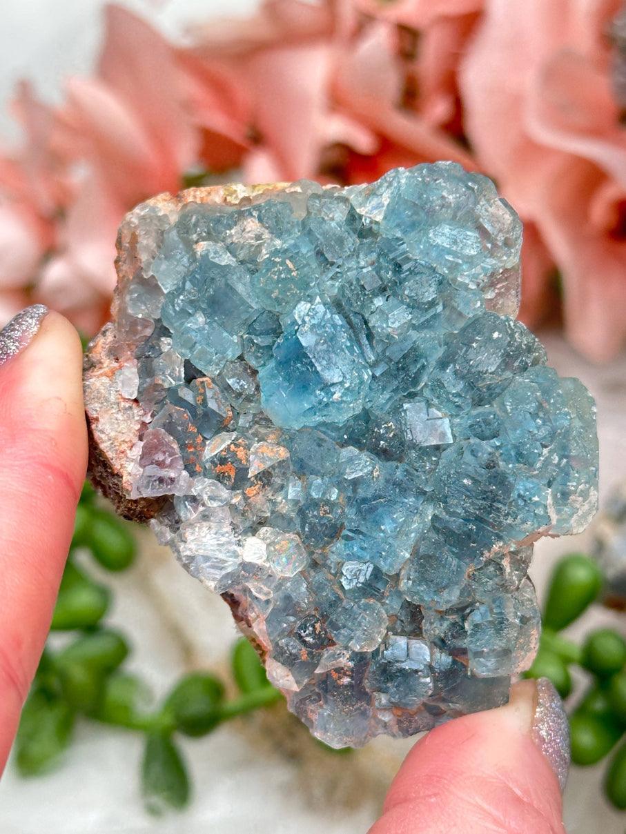 Teal Fluorite Clusters