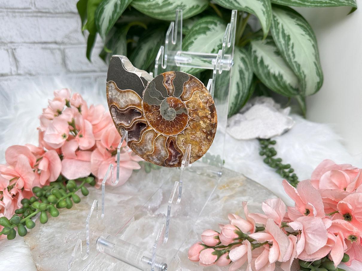 clear-acrylic-multi-slice-stand