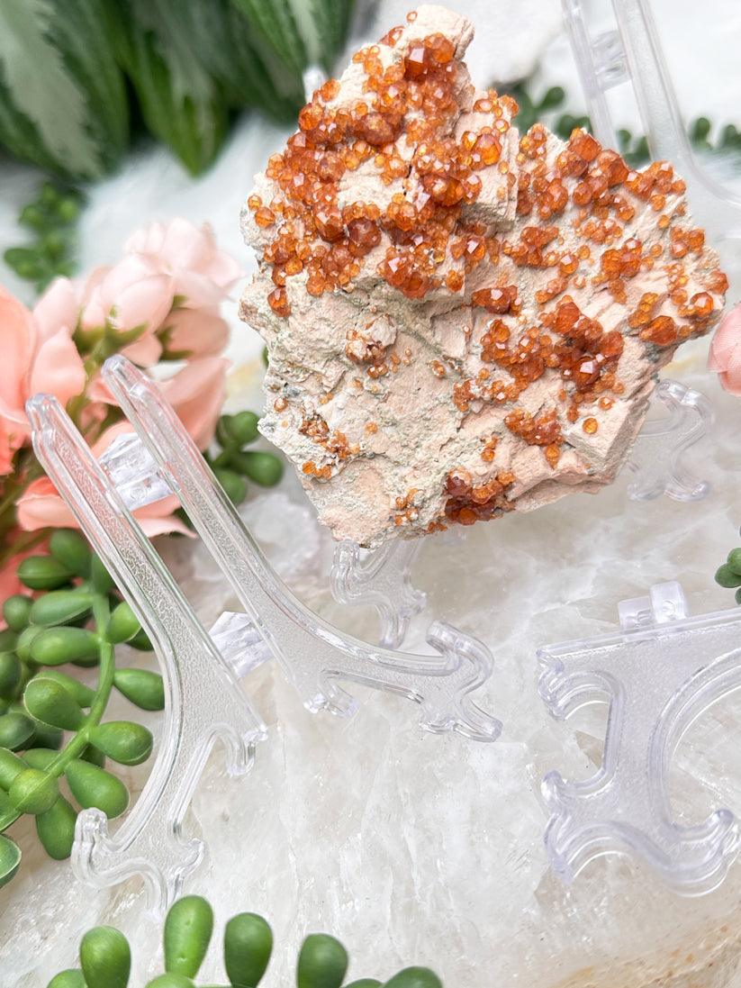 clear-plastic-easel-stand-for-sale