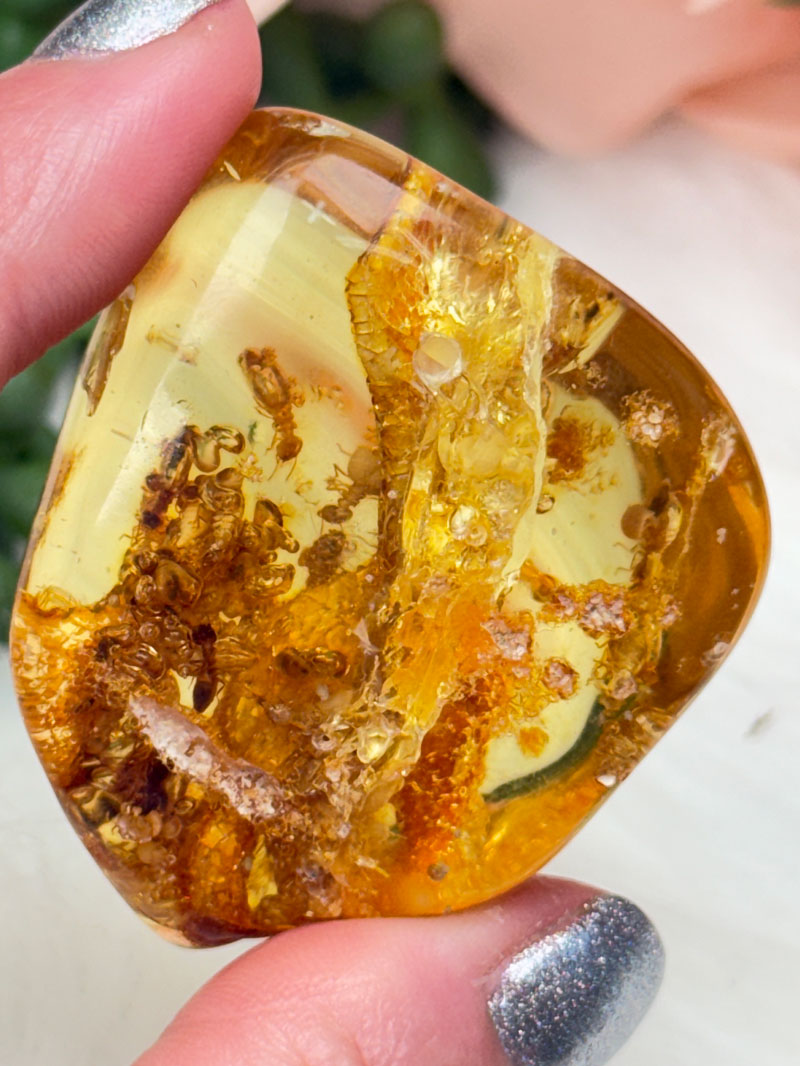 colombian-amber-with-bugs