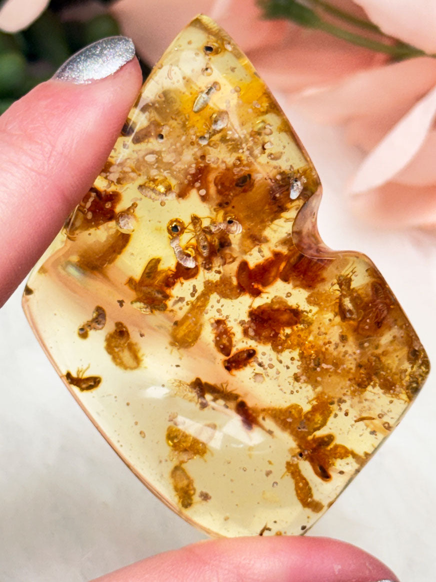 colombian-amber-with-insects-inside