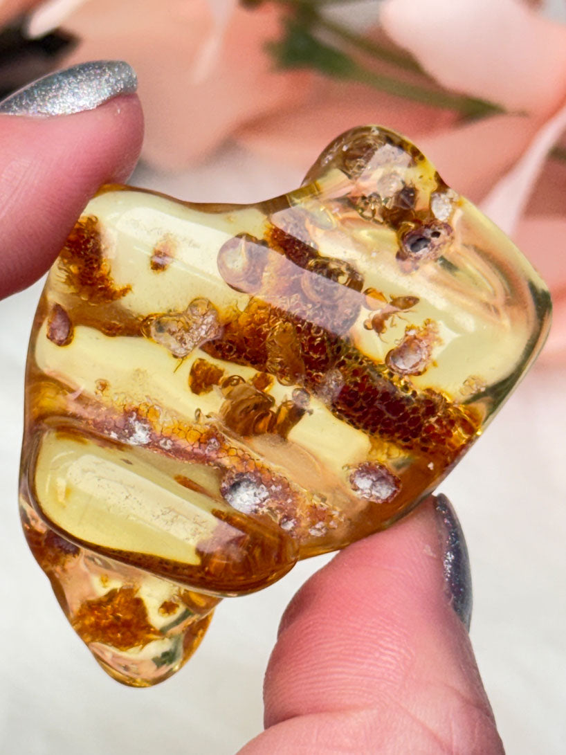 colombian-amber-with-insects