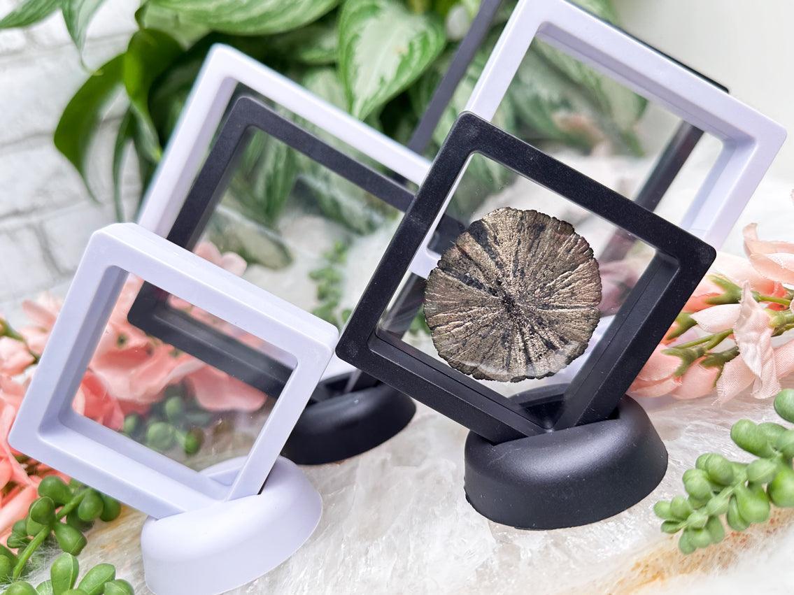 crystal-stretch-display-stand