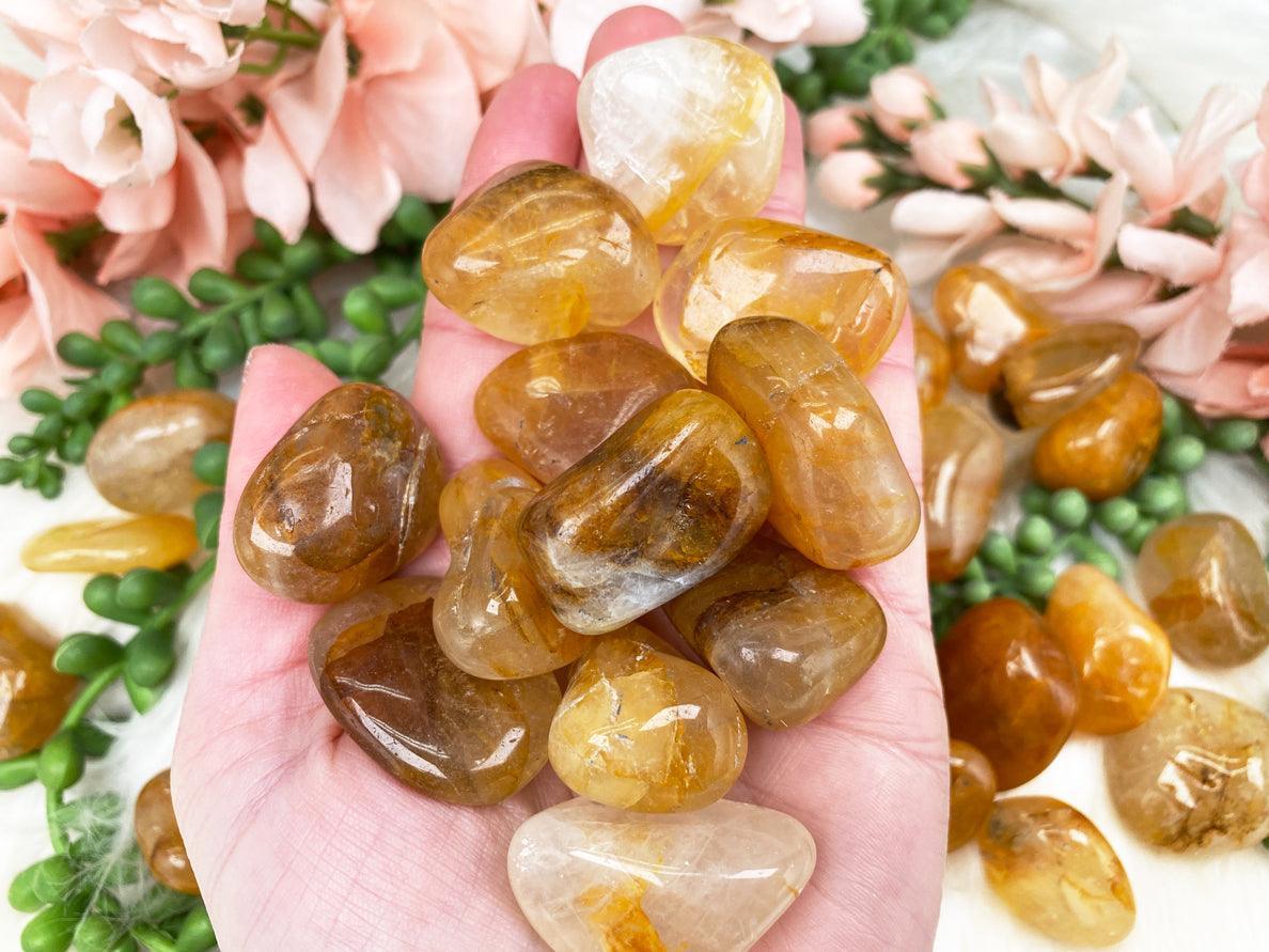 golden-healer-tumbles