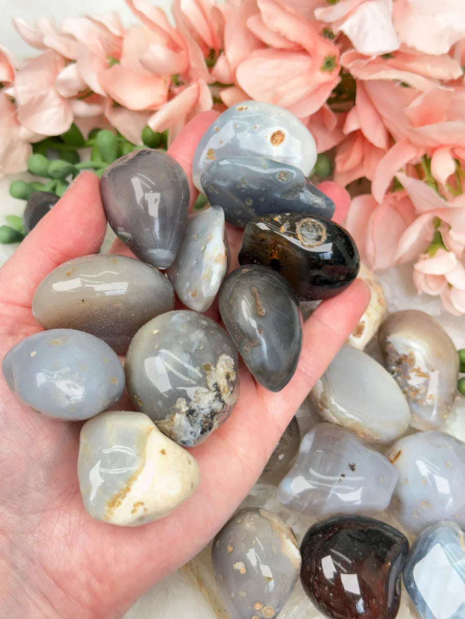 gray-polished-oco-geodes