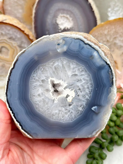 gray-standing-agate-slice