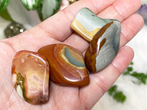 POLYCHROME JASPER