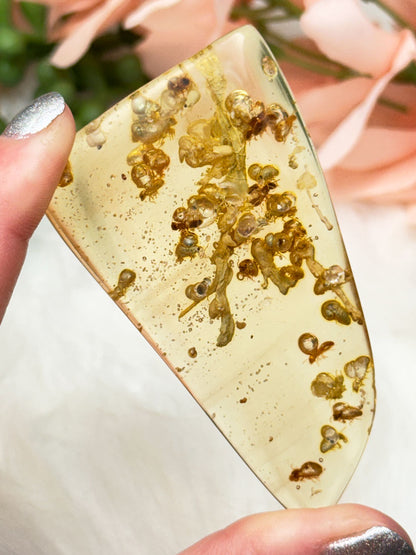 insects-inside-natural-amber