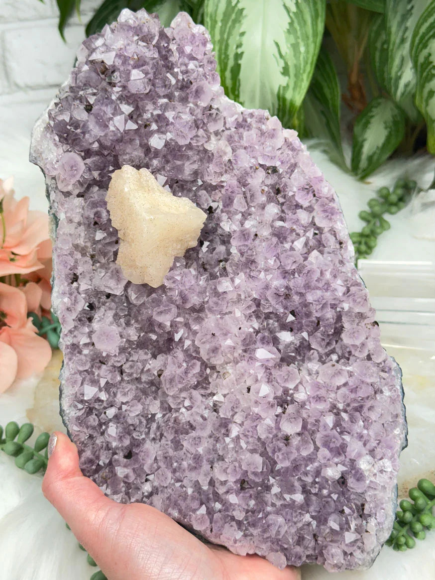 Unique Amethyst Crystal Clusters