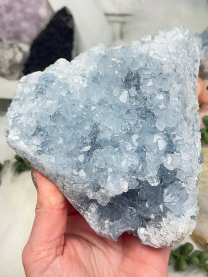 Blue Celestite Clusters