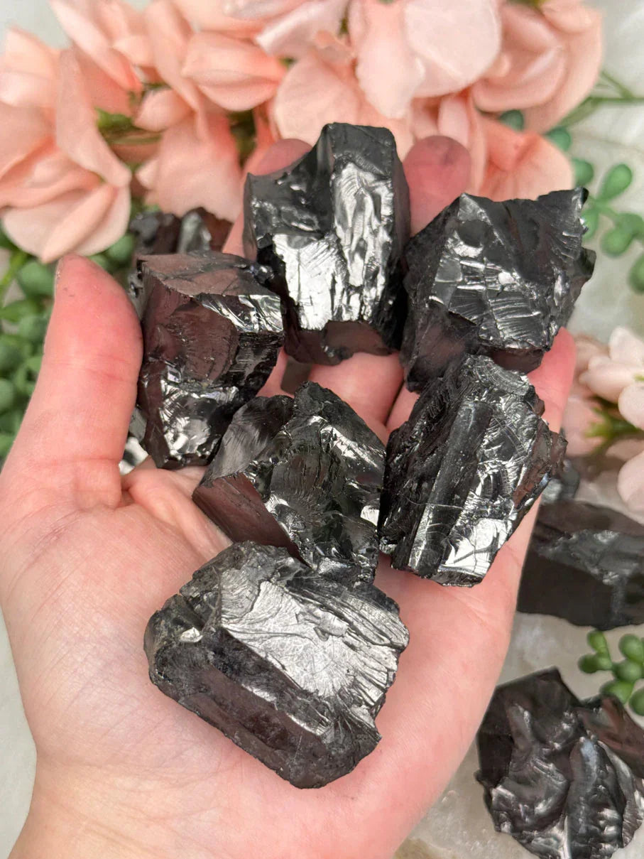 large-colombian-raquerite