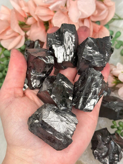 large-colombian-raquerite