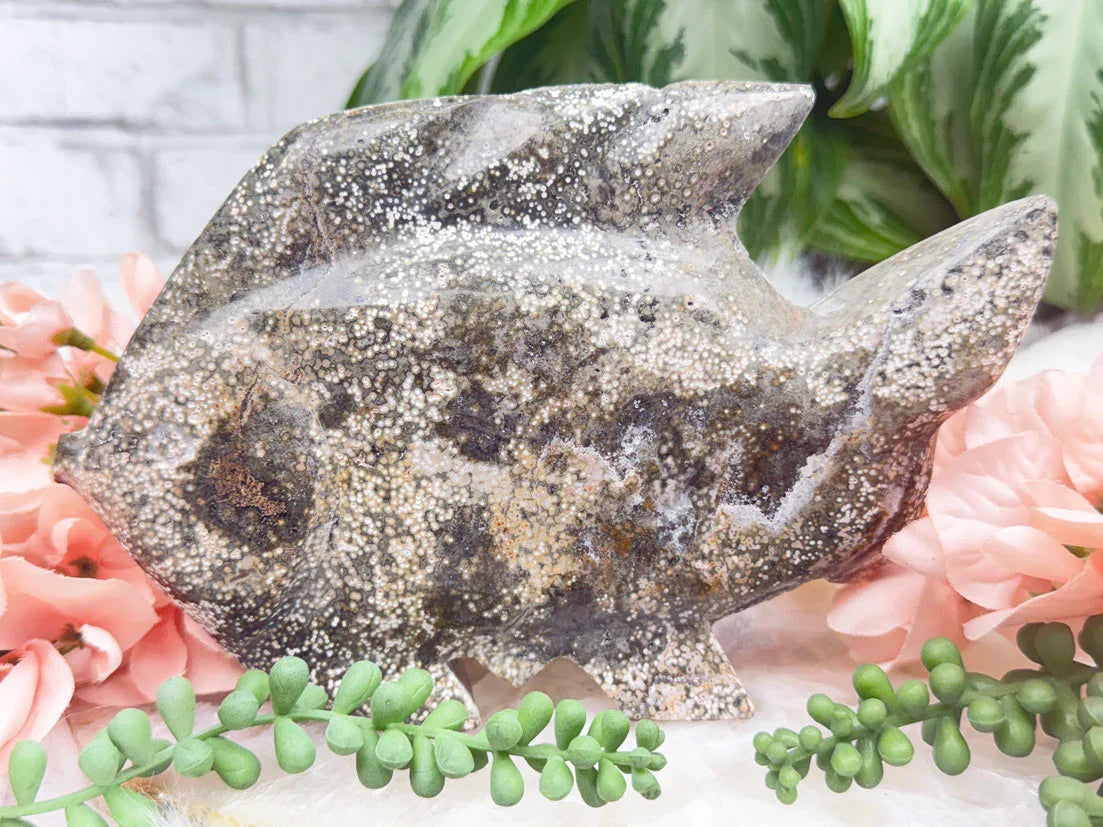 large-ocean-jasper-fish