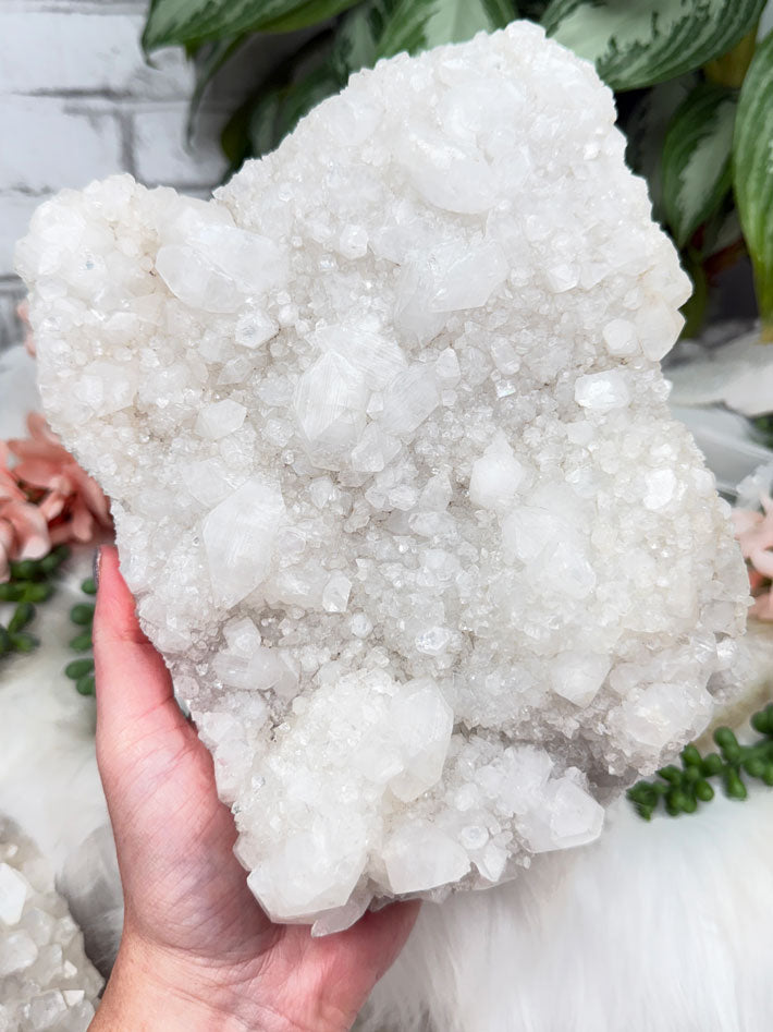 large-white-apophyllite-cluster