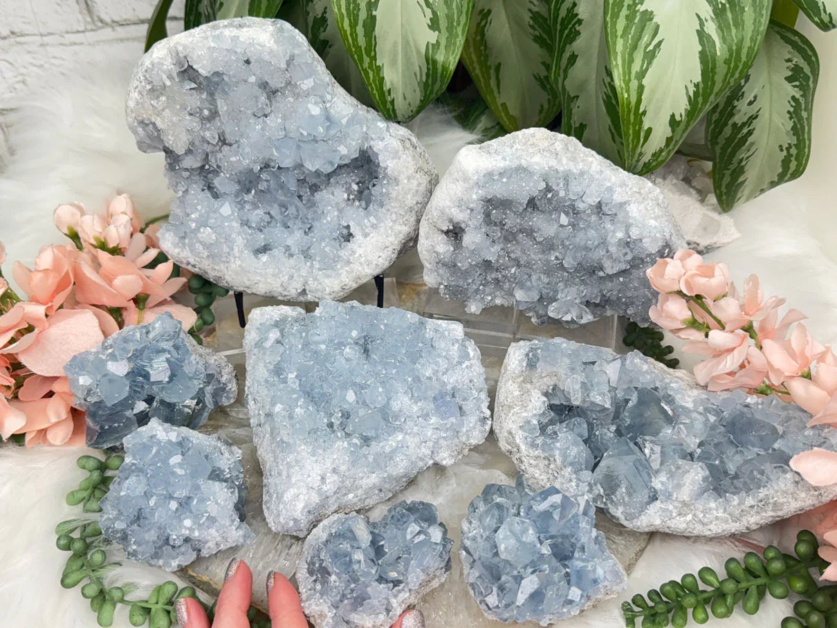 Blue Celestite Clusters
