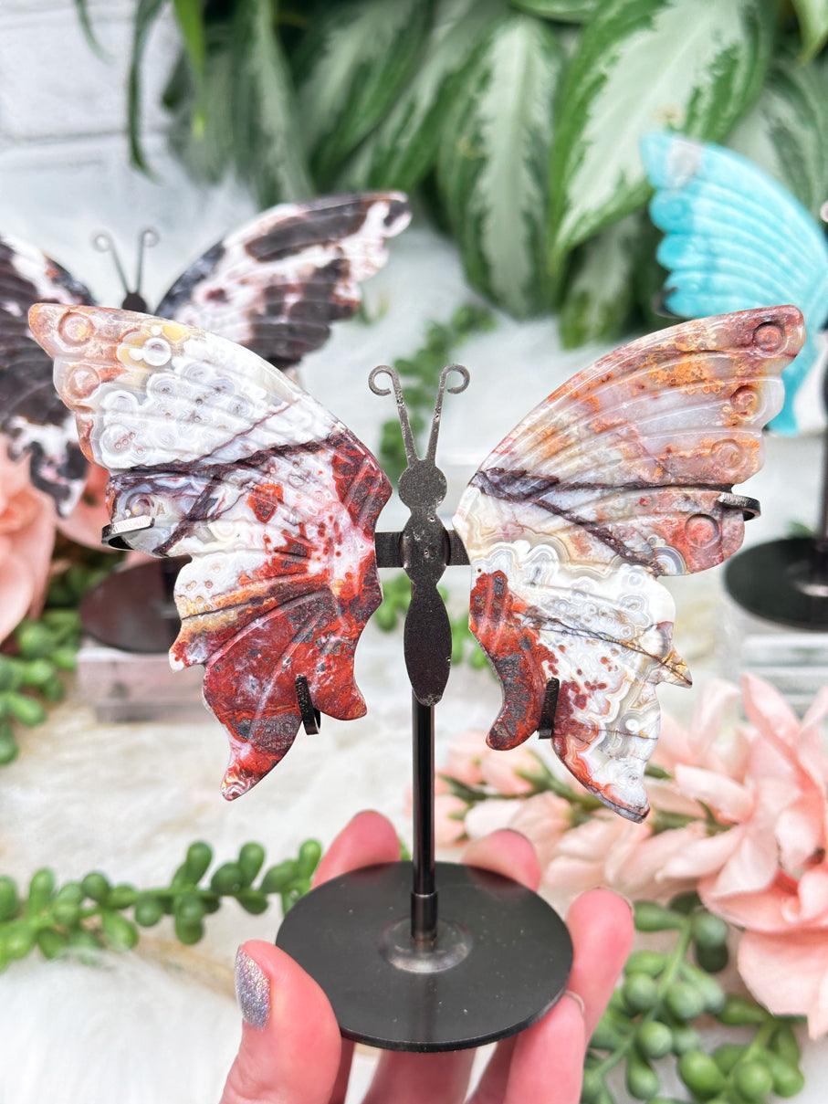 mexico-crazy-lace-agate-butterfly