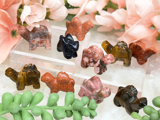 mini-crystal-dinosaur-dragon