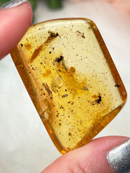 natural-amber-with-insects