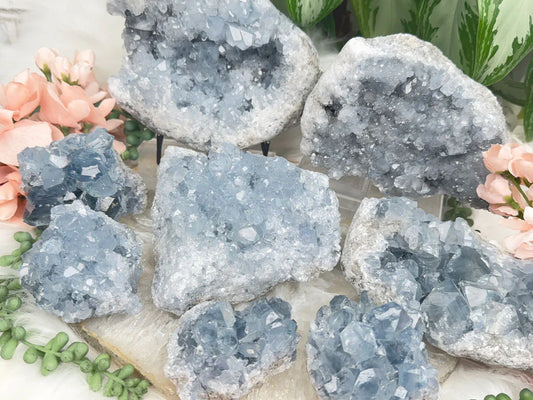 Blue Celestite Clusters