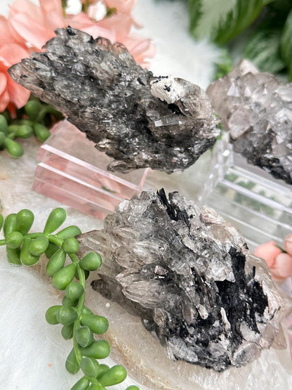 old-stock-tourmaline-citrine