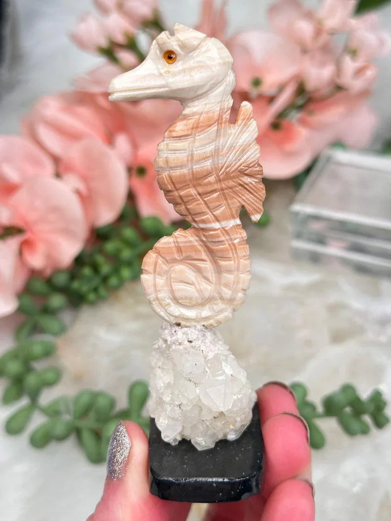 orange-white-onyx-seahorse-crystal
