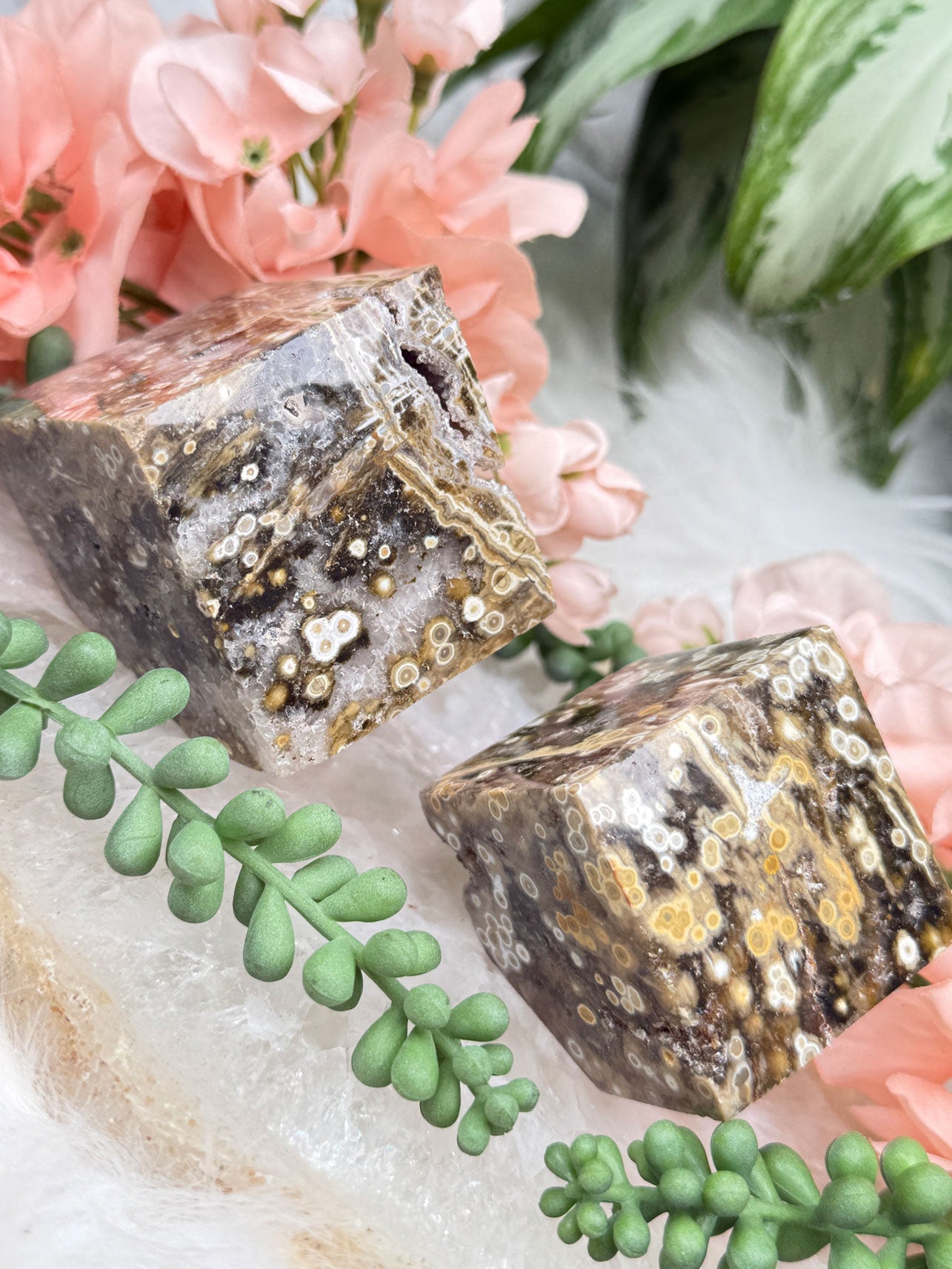 orbicular-ocean-jasper-angle-cubes