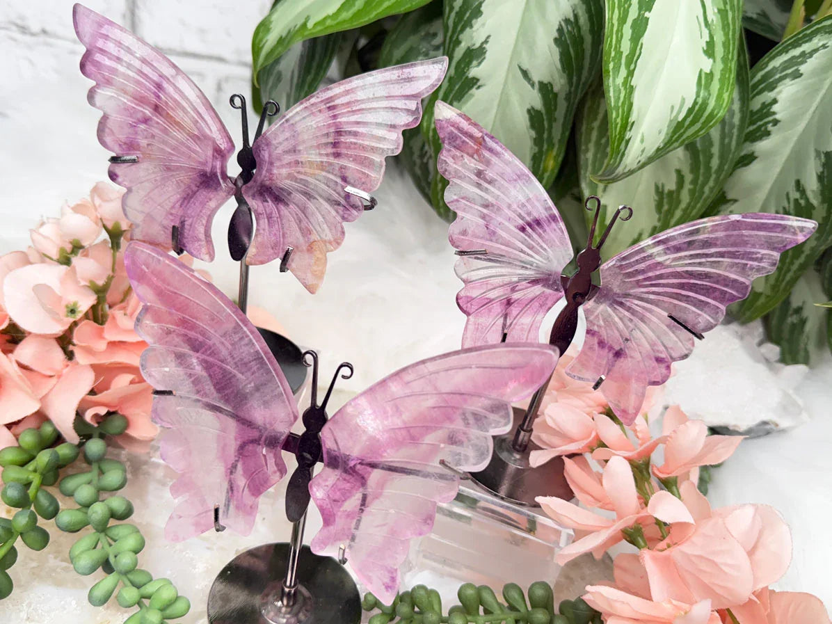 pastel-purple-fluorite-butterflies