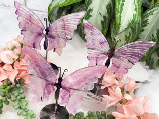 pastel-purple-fluorite-butterflies