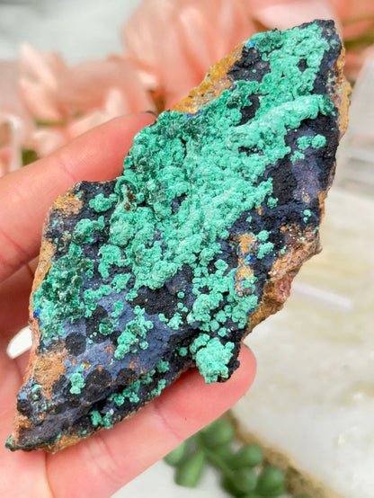 Morocco Azurite Malachite