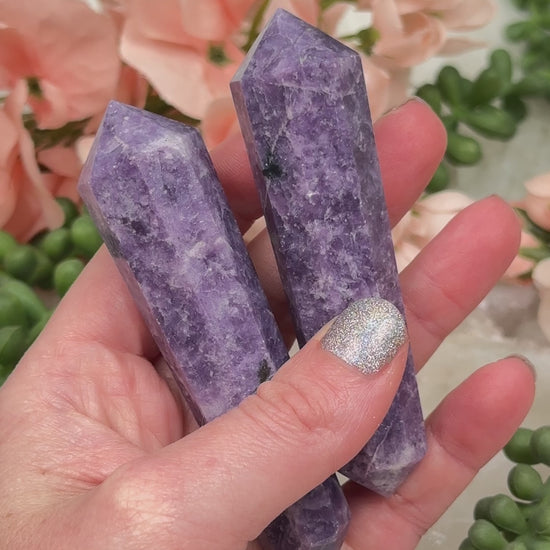 lepidolite-vogel-points