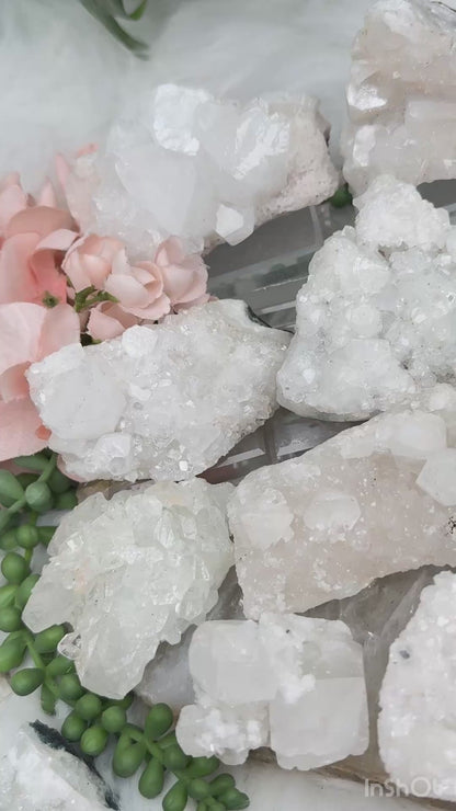 Small Apophyllite Clusters