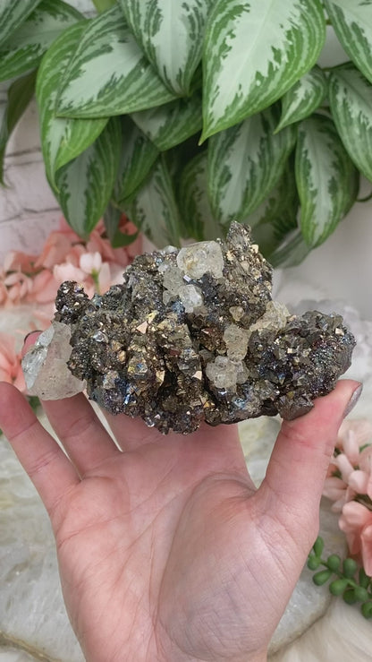Arsenopyrite Fluorite Cluster