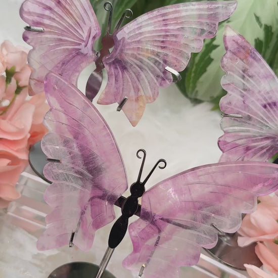 pastel-purple-fluorite-butterflies