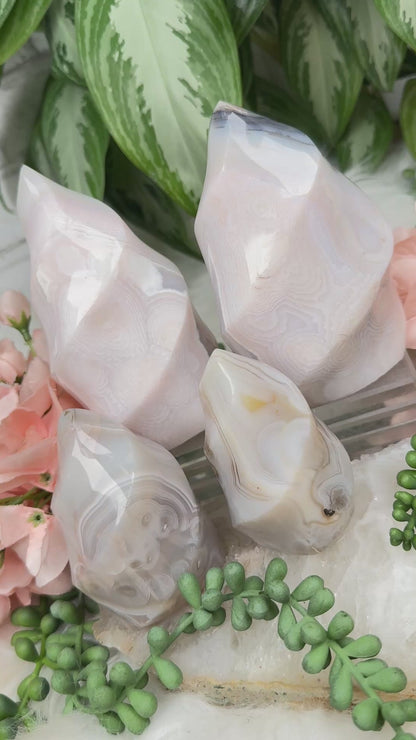 flower-pattern-madagascar-agate