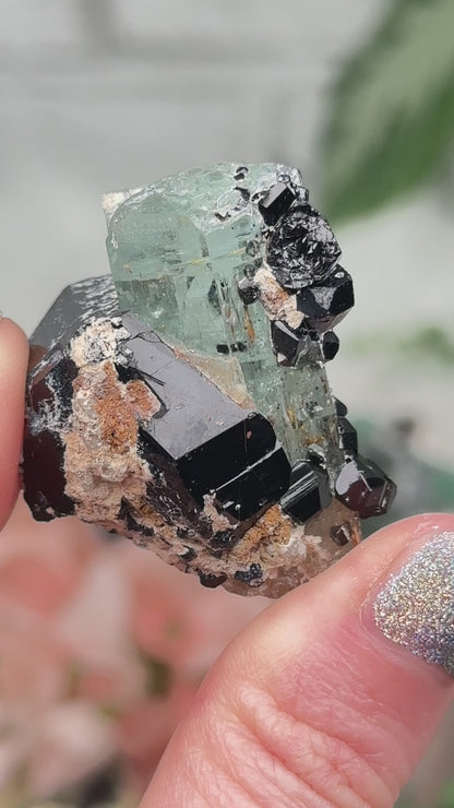 Namibia Aquamarine & Beryl