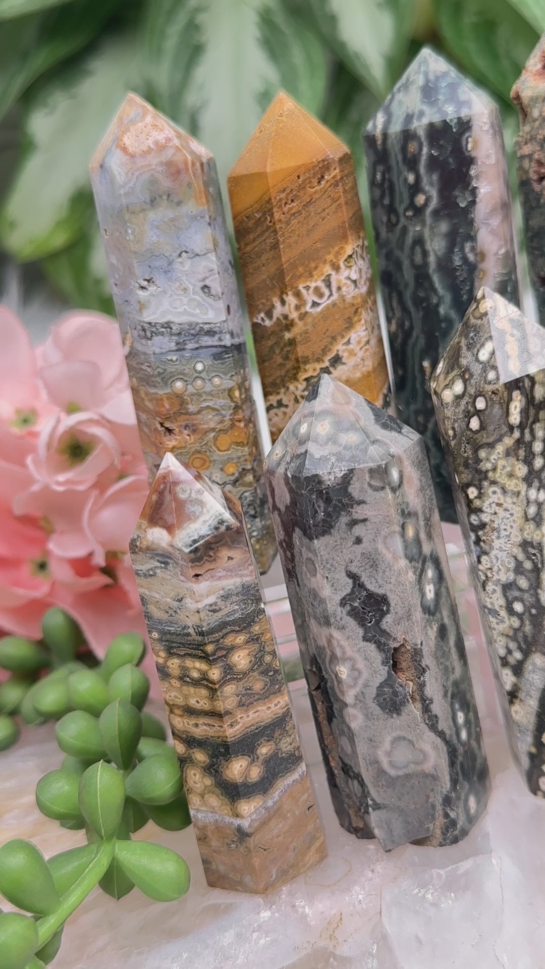 small-ocean-jasper-points