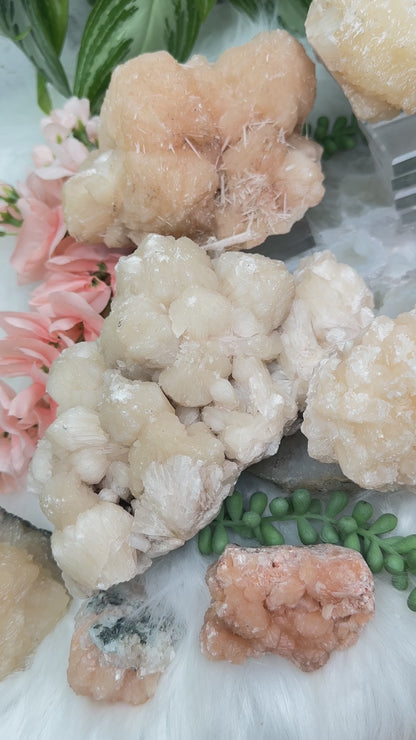 Peach Stilbite Clusters