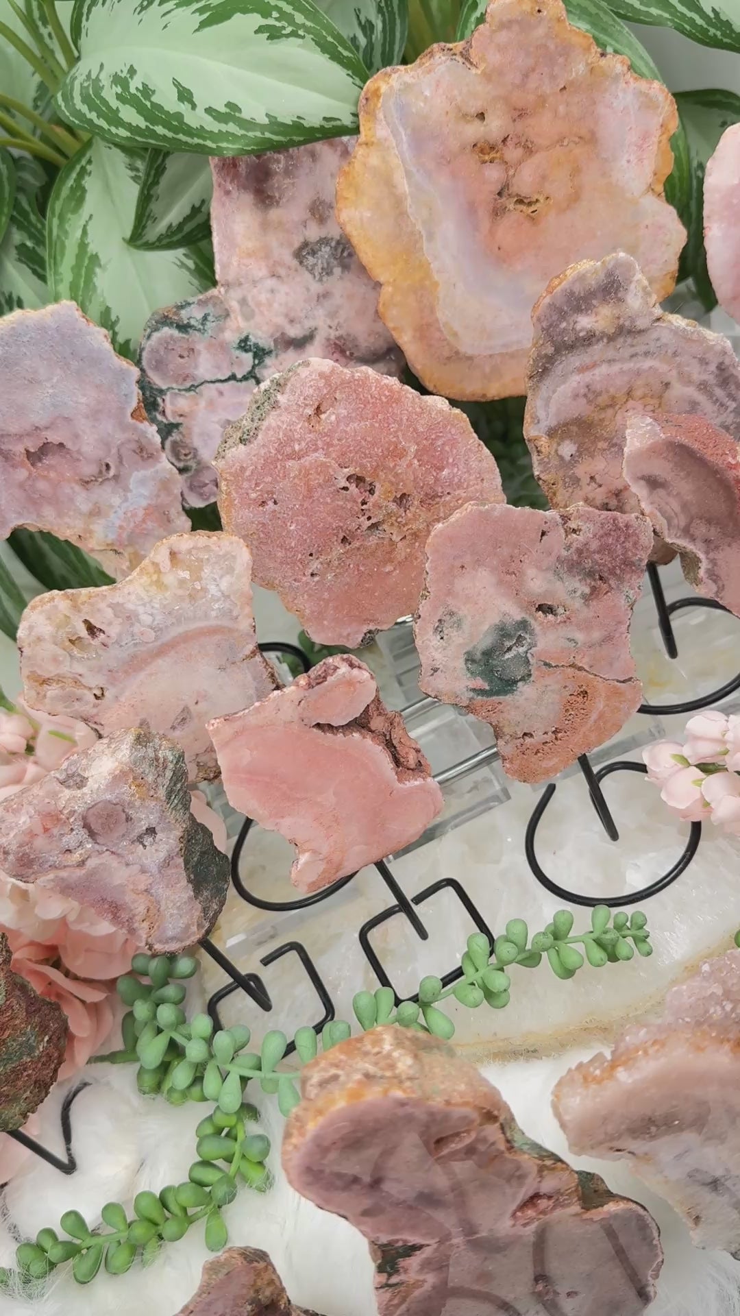 pink-amethyst-crystals-on-stands