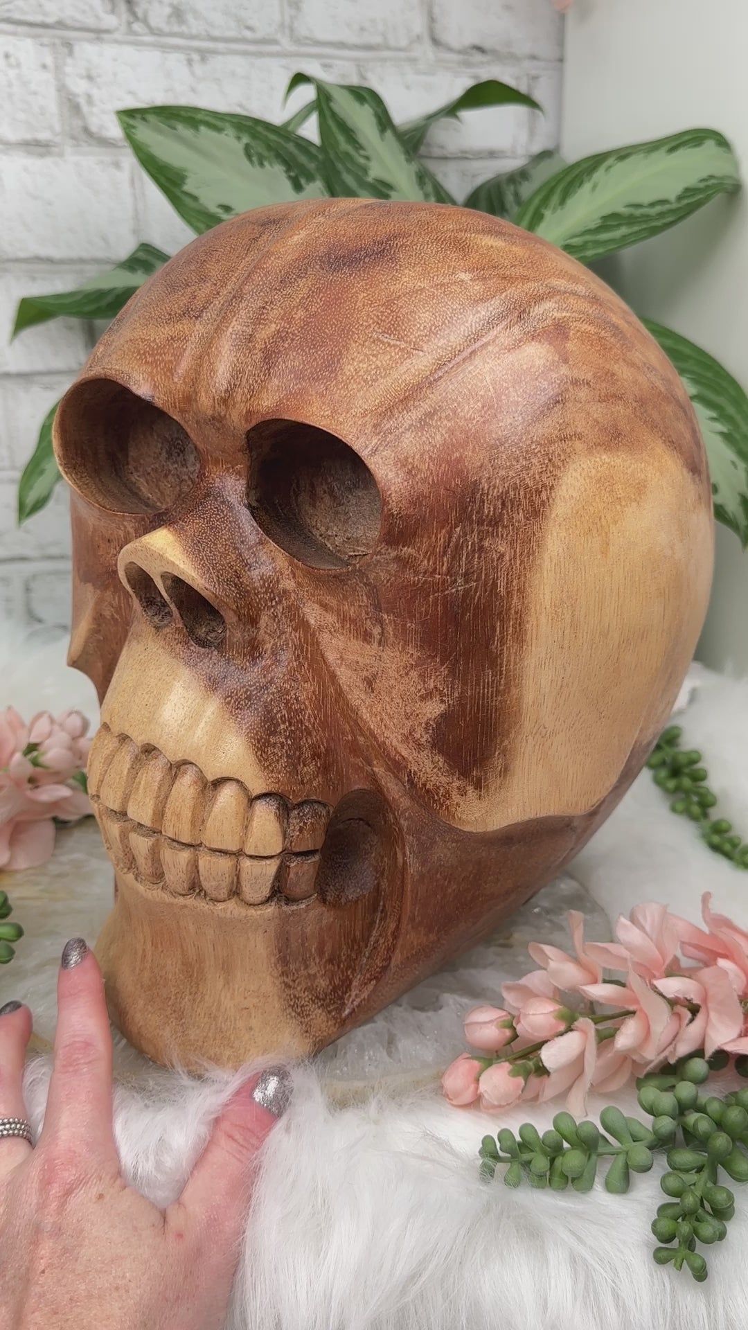large-wood-skull-with-octopus