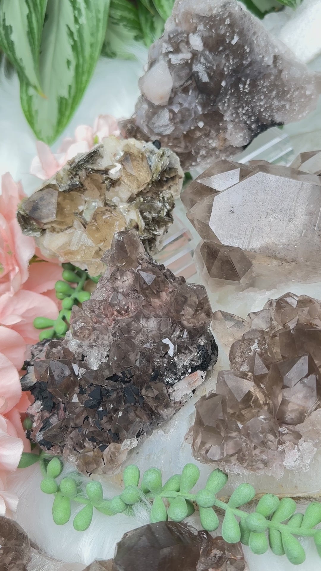 unique-smoky-quartz-clusters-from-brazil