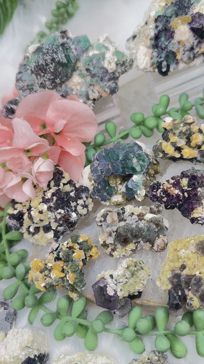 Namibia Fluorite Clusters