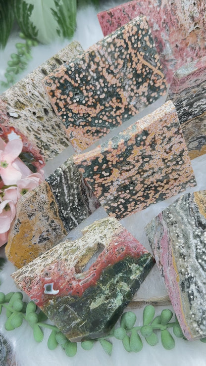 Colorful Ocean Jasper Slices