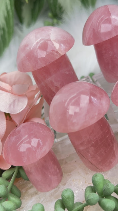 Rose Quartz Mushrooms