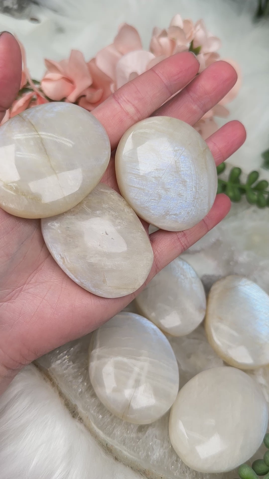 blue-flash-white-moonstone