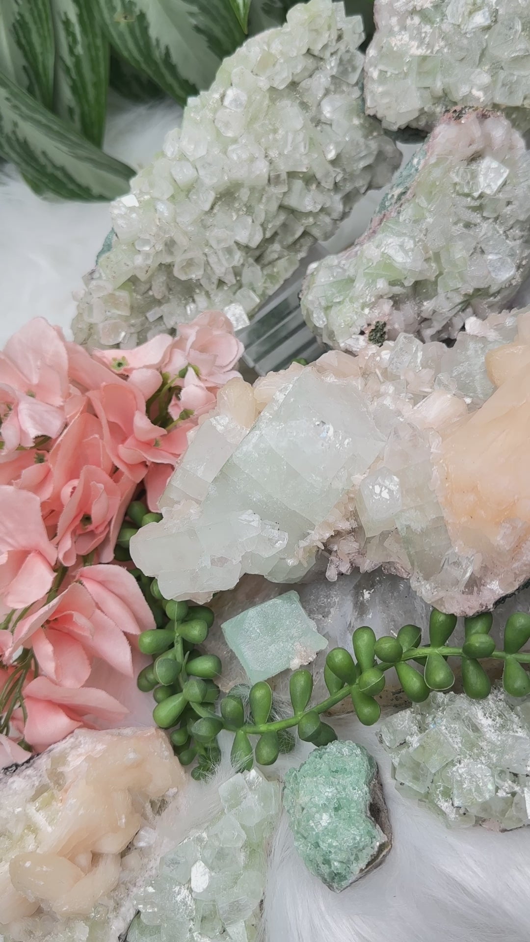 indian-green-apophyllite-clusters