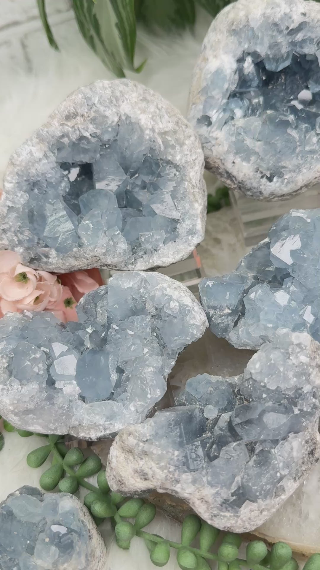 blue-celestite-geode-crystals